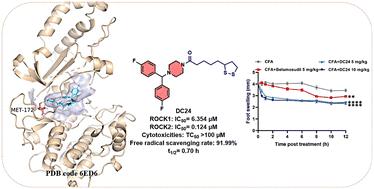 The synthesis and bioactivities of ROCK2 inhibitors with 1,2-dithiolan-3-yl motif†