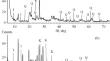 Studying the Effect of Chemical Activated Kaolinite on Organic Matter Adsorption from Crude Phosphoric Acid (H3PO4)