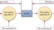 Near Infrared Spectral Imaging Based on Cloud Data and Wireless Network Sensing in Big Data Sports and Fitness Detection