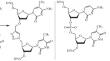 Error-Prone DNA Synthesis on Click-Ligated Templates.