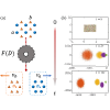 Engineering ratchet-based particle separation via extended shortcuts to isothermality