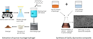 Design and Evaluation of Inorganic/Organic Hybrid Bio-composite for Site-Specific Oral Delivery of Darifenacin.