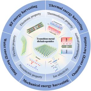 Advanced emerging ambient energy harvesting technologies enabled by transition metal dichalcogenides: Opportunity and challenge