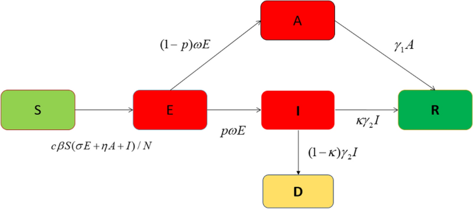 Research on safety strategies for nucleic acid testing in sudden epidemic conditions based on a SEIARD dynamic model