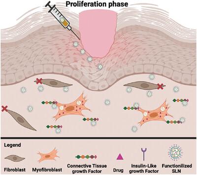 Enhanced Targeted Drug Delivery for Scar Prevention: Clathrin-Coated Solid Lipid Nanoparticles for Model Drug Encapsulation