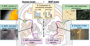 Democratizing technologies in psychiatry: non-human primate neuroanatomy paves the way for accessible neurofeedback in the wild.