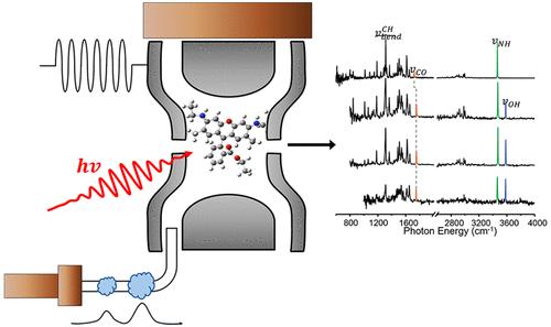Demonstration of Capture, Cooling, Tagging, and Spectroscopic Characterization of UV Photoproduct Ions in a Cryogenic Ion Trap: Application to 266 nm Photofragment Ions from Rhodamine 6G.
