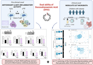 Effect of docosahexaenoic acid as an anti-inflammatory for Caco-2 cells and modulating agent for gut microbiota in children with obesity (the DAMOCLE study).