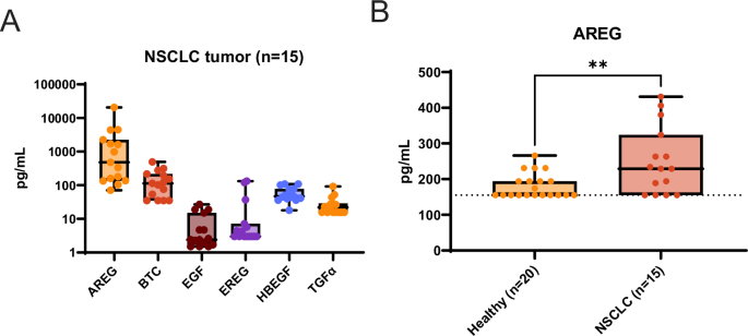 Amivantamab efficacy in wild-type EGFR NSCLC tumors correlates with levels of ligand expression