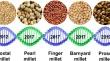 Biotechnological studies towards improvement of finger millet using multi-omics approaches