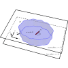 Hele-Shaw flow of a nematic liquid crystal