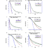 Effective phase diffusion for spin phase evolution under random nonlinear magnetic field