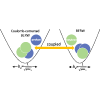 Coupled-channels reactions for charged particles in harmonic traps