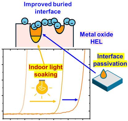 Metal Oxide vs Organic Semiconductor Charge Extraction Layers for Halide Perovskite Indoor Photovoltaics