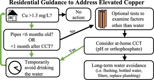 Guidance for Residents Addressing Copper Problems in Drinking Water: Opportunities and Challenges