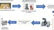 Effects of gelatin coating on the preservative and sensory qualities of cooked chicken breast