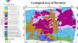 Comparison of support vector machines (SVMs) and the learning vector quantization (LVQ) techniques for geological domaining: a case study from Darehzar porphyry copper deposit, SE Iran