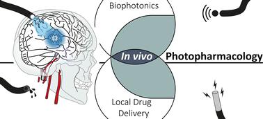 In vivo photopharmacological inhibition of hippocampal activity via multimodal probes – perspective and opening steps on experimental and computational challenges†