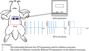 Investigate the relationship between pulsed field ablation parameters and ablation outcomes.