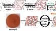 Polyvinyl Alcohol (PVA)-Based Stimuli-Sensitive Hydrogel Containing Carbon Nanotube (CNT) and Polyethylene Glycol (PEG)