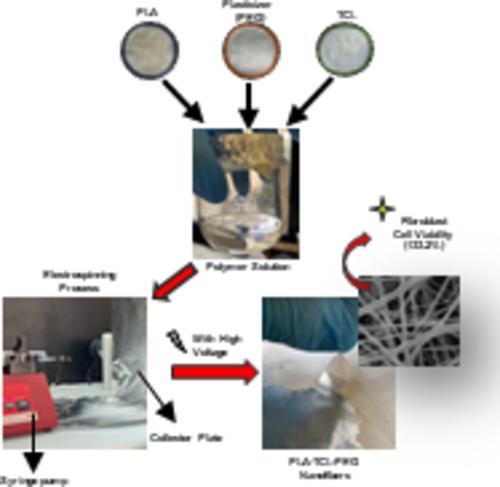 Effect of Tetrapropylammonium Chloride Quaternary Ammonium Salt on Characterization, Cytotoxicity, and Antibacterial Properties of PLA/PEG Electrospun Mat