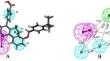 Identification of mycobacterial Thymidylate kinase inhibitors: a comprehensive pharmacophore, machine learning, molecular docking, and molecular dynamics simulation studies