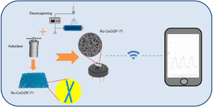 One-dimensional hollow porous Ru–CuO nanofibers covered with ZIF-71 for H2S gas sensing and its first-principle study