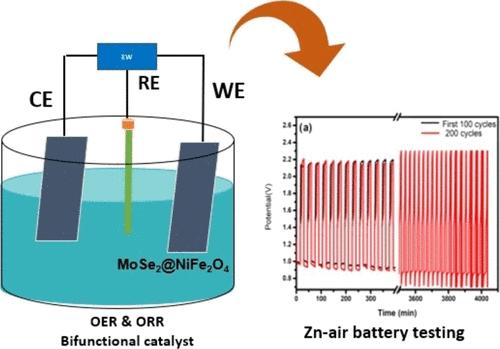 NiFe2O4 in MoSe2 Exhibits Bifunctional Water Oxidation and Oxygen Reduction (OER and ORR) Catalytic Reactions for Energy Applications