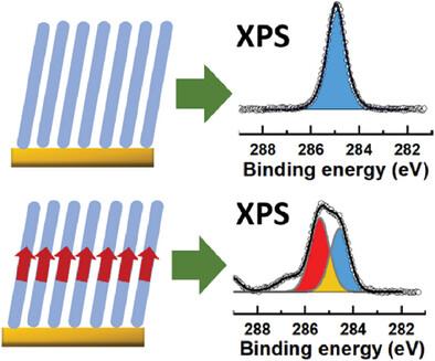 Importance of Electrostatic Effects for Interpretation of X‐ray Photoemission Spectra of Self‐Assembled Monolayers