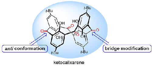 Ketocalixarenes: Versatile yet still Unexplored Macrocycles