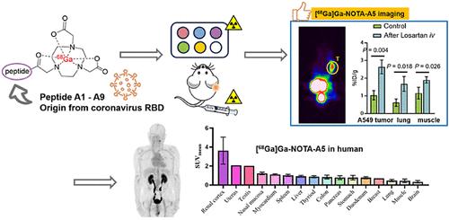 Evaluation of Angiotensin-Converting Enzyme 2 Expression In Vivo with Novel 68Ga-Labeled Peptides Originated from the Coronavirus Receptor-Binding Domain