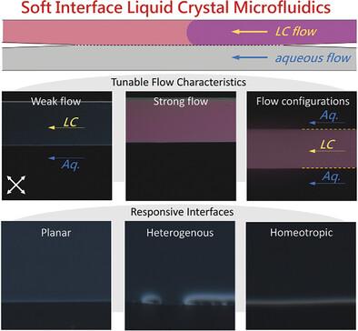 Responsive Soft Interface Liquid Crystal Microfluidics