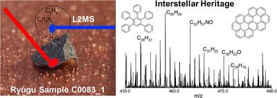 First direct detection of large polycyclic aromatic hydrocarbons on asteroid (162173) Ryugu samples: An interstellar heritage