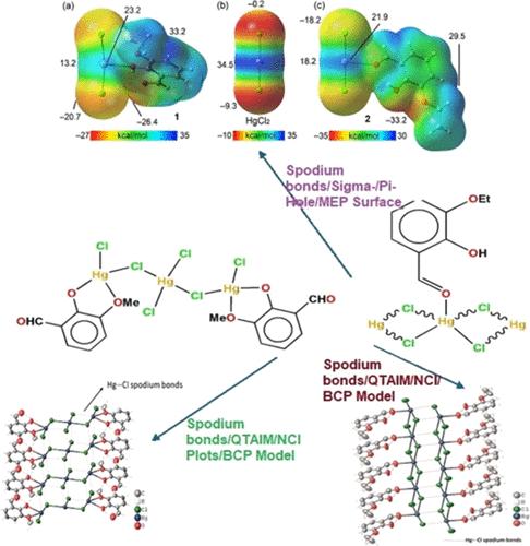 On the Significant Importance of Hg···Cl Spodium Bonding/σ/π-Hole/Noncovalent Interactions and Nanoelectronic/Conductivity Applications in Mercury Complexes: Insights from DFT Spectrum