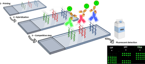 DNA-directed immobilization fluorescent immunoarray for multiplexed antibiotic residue determination in milk.