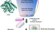 Combination of ligand‑based and structure‑based virtual screening for the discovery of novel Janus kinase 2 inhibitors against philadelphia-negative myeloproliferative neoplasms.