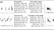 Song determined by phylogeny and body mass in two differently constrained groups of birds: manakins and cardinals.