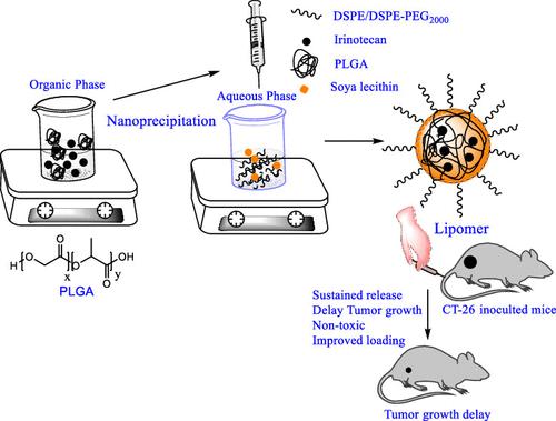 Engineered PLGA Core–Lipid Shell Hybrid Nanocarriers Improve the Efficacy and Safety of Irinotecan to Combat Colon Cancer