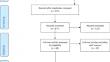 A Systematic Review of Children’s Psychological Well-Being from a Eudaimonic Perspective: a Narrative Synthesis