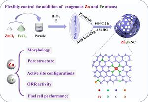 On the role of Zn and Fe doping in nitrogen-carbon electrocatalysts for oxygen reduction