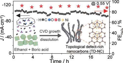 Precursor-Mediated Direct Growth of Defect-Rich Hierarchical Nanocarbons for Electrocatalytic Hydrogen Peroxide Production†