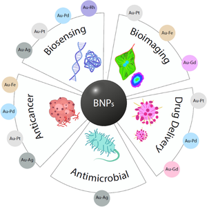 Au-based bimetallic nanoparticles: current biomedical applications