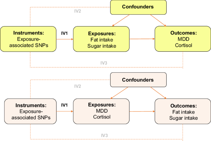 Testing the causal relationship of fat and sugar intake with depression and cortisol: a Mendelian Randomisation study