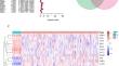 A prognostic model constructed by ferroptosis-associated genes (FAGs) in papillary renal cell carcinoma (PRCC) and its association with tumor mutation burden (TMB) and immune infiltration.