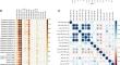 Involvement of oncomiRs miR-23, miR-24, and miR-27 in the regulation of alternative polyadenylation in glioblastoma via CFIm25 cleavage factor.