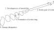 The Use of Artificial Neural Networks to Determine the Aerodynamic Forces and Moments Acting on an Aircraft in a Vortex Wake