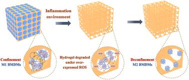 Inflammation environment-adaptive matrix confinement for three-dimensional modulation of macrophages†