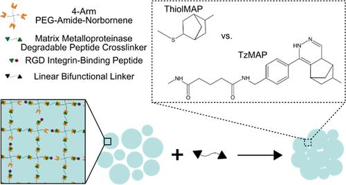 Impact of Annealing Chemistry on the Properties and Performance of Microporous Annealed Particle Hydrogels.
