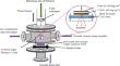 Activation cross section for 85Rb(n,2n)84mRb and 85Rb(n,p)85mKr reactions with uncertainty propagation and covariance analysis