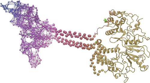 Allosteric Communication of the Dimerization and the Catalytic Domain in Photoreceptor Guanylate Cyclase.